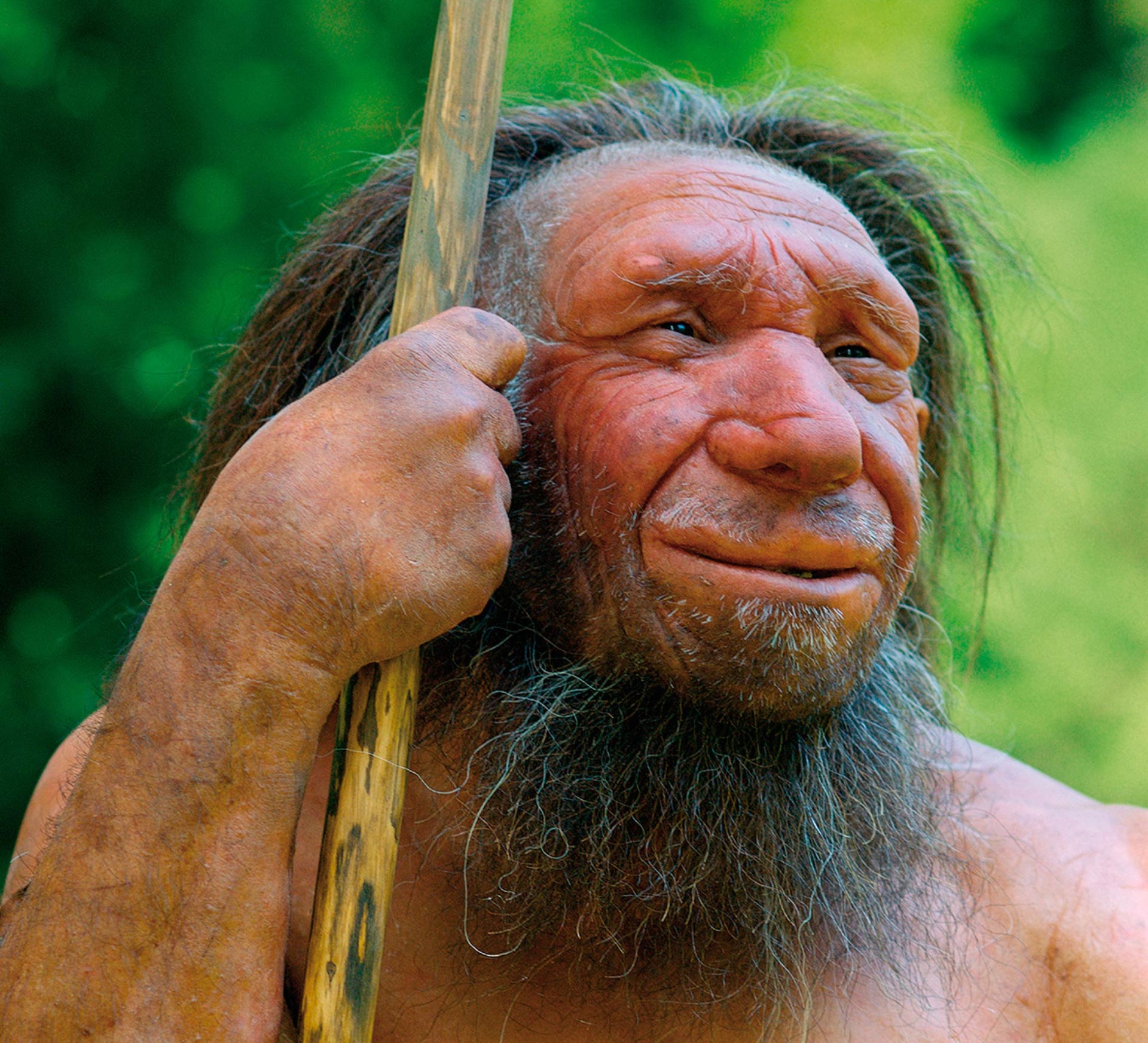 Despite Deafness, Missing Forearm and Limp, This Neanderthal Lived into His Forties | Sci.News